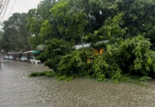 Apac divulga atualização do El Niño com previsão de temperaturas acima da média e risco de agravamento da seca em Pernambuco