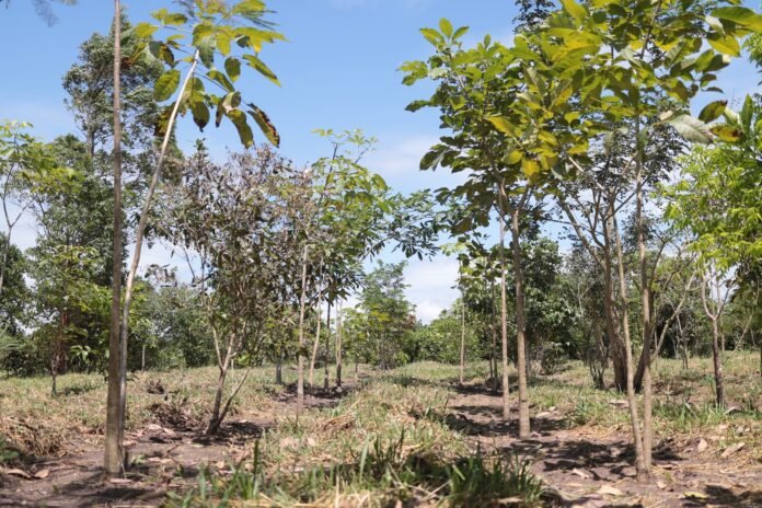 WhatsApp Image 2025-06-10 at 15.36.16 (3)