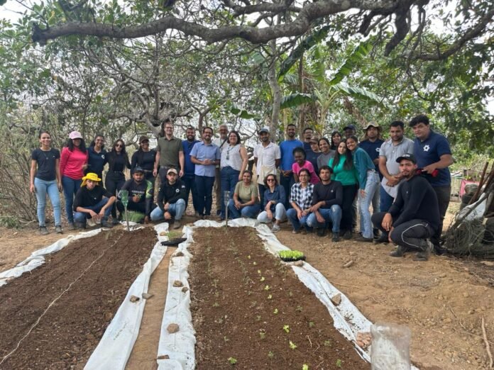 6a2fed4e-d335-42f7-8ddd-c6d4ef758c83