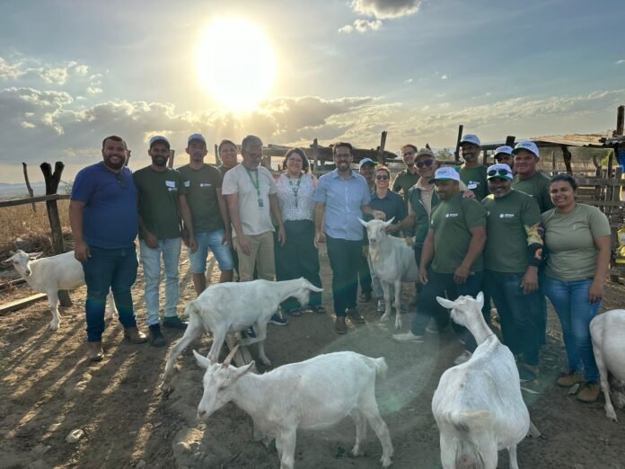 a29f8f7a-e567-4119-9f1a-f80f4fa96dce