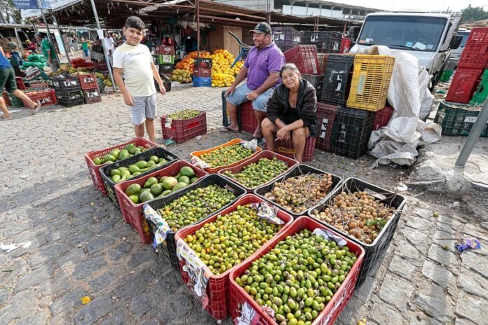 f862996a-8b84-4561-a3f9-5a3406607364