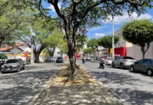 Avenida Oswaldo Cruz em Caruaru ganhará faixa elevada para travessia de pedestres