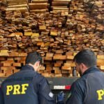 PRF apreende 337 m³ de madeira ilegal durante operação no Sertão de Pernambuco