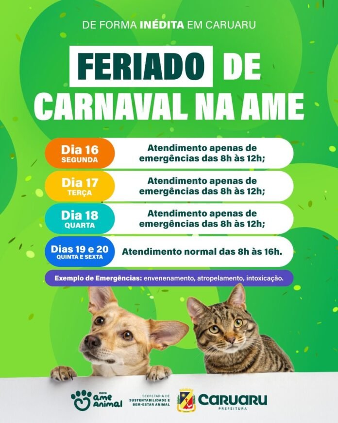 1195918e-8e5f-4063-a407-ed9dc43b4aa5