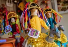 Vitrine Criativa apresenta fantasias e artesanato para foliões no Carnaval de Bezerros