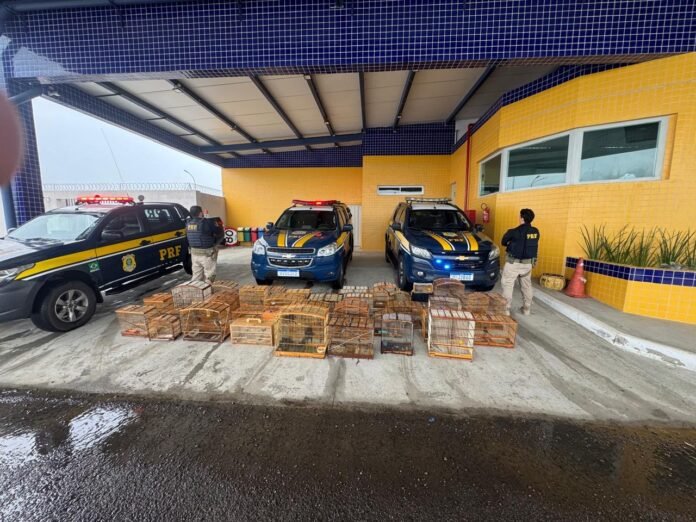 74f7a76b-53df-467d-8aa5-bea3b6b322a4