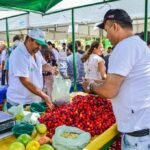 Feiras de bairro funcionarão normalmente durante o período carnavalesco; coleta domiciliar de lixo também