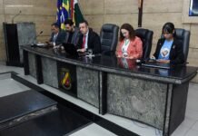 Câmara de Caruaru realiza audiência pública sobre direitos das mães e crianças atípicas