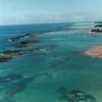 Pernambuco recebe projeto do BNDES para monitoramento e restauração de corais