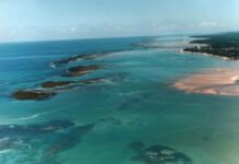 Pernambuco recebe projeto do BNDES para monitoramento e restauração de corais