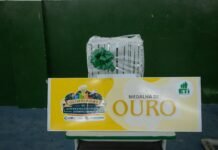 Escola da zona rural de Caruaru recebe prêmio da 1º Olimpíada de Empreendedorismo