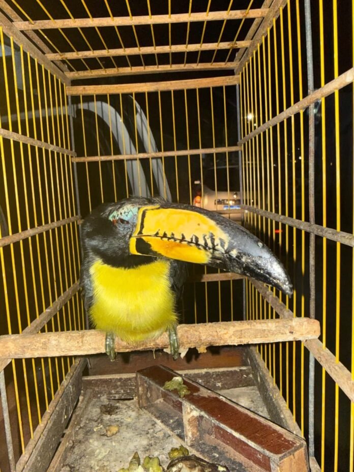 bbbe266a-1f70-4cc4-ac4c-aceab304680d