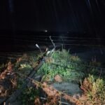 Neoenergia Pernambuco reforça número de equipes para atender cidades do interior afetadas pelas chuvas