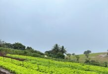 Caruaru amplia número de agricultores no Garantia-Safra e quase dobra homologações