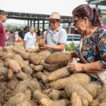 Queda nos preços de hortifrúti na Ceaca garante produtos mais baratos para consumidores