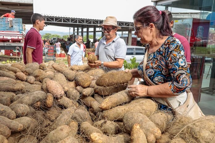 33018654-d660-4870-9bc2-1a027667f930