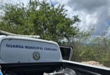 Guarda Municipal de Caruaru recupera quadros de motocicletas com registro de roubo