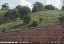 Pernambuco inicia 2026 com saldo positivo de empregos com destaque para construção civil