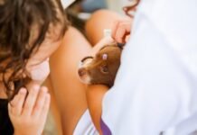 AME Animal passa a funcionar nos fins de semana e feriados, em Caruaru, a partir de abril