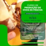 Curso gratuito ensina produção de ovos de Páscoa e abre oportunidade de renda em Caruaru