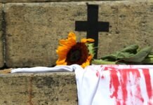 Número de vítimas de feminicídio supera em 38% registros oficiais