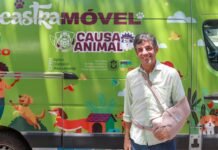 Governo de Pernambuco começa o mutirão gratuito de castração de cães e gatos em Camaragibe