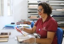 Dia do Bibliotecário: Profissionais da Biblioteca Pública de Pernambuco são guardiões de acervos históricos