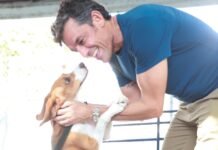 Secretaria Estadual de Meio Ambiente firma convênio com a UFRPE para castração de cães e gatos