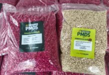 Prefeitura de Caruaru realiza distribuição de sementes para agricultores nesta quarta (18)