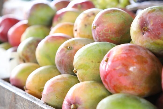 c85a5ffb-c60b-4c7d-99fd-b18149b2614a