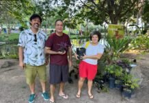 Prefeitura de Caruaru promove tarde de lazer no Parque Ambiental Severino Montenegro com projeto “Domingo no Parque”