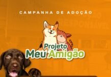 Meu Amigão – Feira de adoção de pet, realizada pela Prefeitura de Caruaru, acontece no Marco Zero, a partir desta quarta (15)