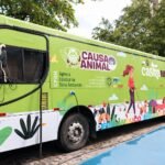 Secretaria Estadual de Meio Ambiente prorroga castração de cães e gatos em Caruaru