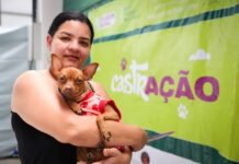 Governo de Pernambuco e Prefeitura do Jaboatão promovem mutirão gratuito de castração de cães e gatos