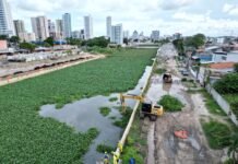 Governo de Pernambuco inicia ação de limpeza da vegetação do Canal do Fragoso