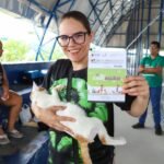 Governo de Pernambuco leva mutirão de castração de cães e gatos ao município do Paulista e fortalece política de proteção animal