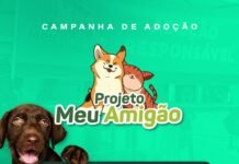 Prefeitura de Caruaru promove nova edição da Feira Meu Amigão com adoção responsável