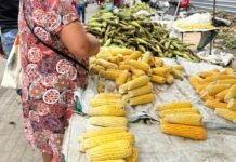 Feira do Milho, em Caruaru, está com inscrições abertas para comercialização em novo espaço
