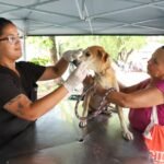 Programa de castração animal avança na Região Metropolitana e no Agreste com agendas em Igarassu e Garanhuns