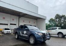 Receita Federal participa de Operação Locusta para combater exportação ilegal de lagosta