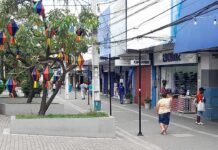 Festejos juninos em Caruaru aquecem vendas no comércio local