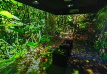 São João de Caruaru abre portas para a sustentabilidade com palestra na Estação Ferroviária