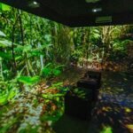 Dia Mundial do Meio Ambiente é celebrado com inauguração de sala imersiva no São João de Caruaru