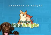 Prefeitura de Caruaru realiza evento do projeto “Meu Amigão” para incentivar a adoção consciente de pets em Caruaru