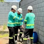 Chuva e umidade mudam comportamento das pragas em Pernambuco; especialista explica diferenças entre as regiões do Estado