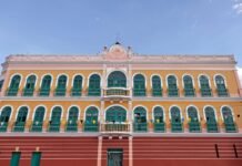Conheça o CRIVO, programa que busca fortalecer rede de cinemas de rua em Pernambuco