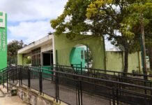 IFPE Caruaru abre turma para curso gratuito de Francês
