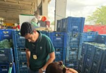 Prefeitura de Caruaru inicia na Ceaca monitoramento de resíduos de agrotóxicos