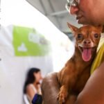 Governo de Pernambuco promove castração de cães e gatos inicia em Garanhuns nesta terça (18) e anuncia novas datas no Recife