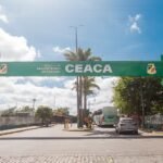 Acerola e tangerina Ponkan lideram queda de preços na Ceaca